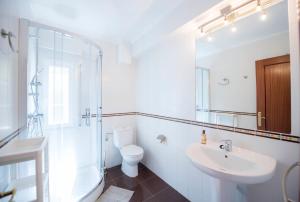 y baño con lavabo, aseo y ducha. en Apartamentos Turisticos Bizkar Bare, en Sopuerta