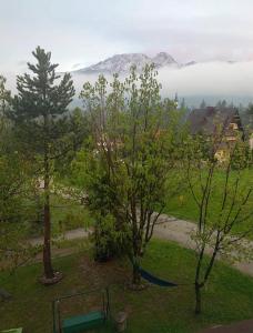 Príroda v okolí apartmánu