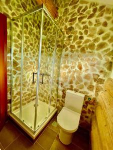 Casa Crăciun في Valea Nandrului: حمام مع دش زجاجي ومرحاض