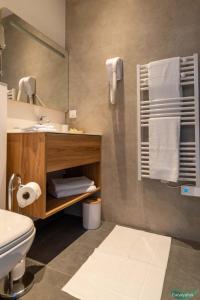 a bathroom with a sink and a toilet and a mirror at Le Clos des Eucalyptus in Plan-de-la-Tour