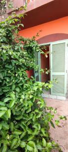 圣玛丽亚Sal Service djasal residence with pool的相册照片