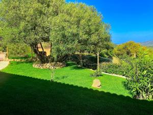 un patio verde con un árbol y césped verde en Casagliana Suite Resort en Olbia
