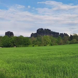 een veld van groen gras met rotsen op de achtergrond bij Ferienwohnung Ostrau in Bad Schandau