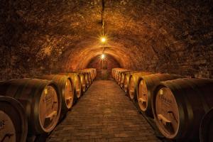 Fotografie z fotogalerie ubytování Podrumi Kolar "Suza Baranje" v destinaci Kneževi Vinogradi