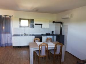 Кухня или кухненски бокс в Apartment and Rooms Hacienda Stelio