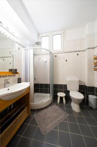 a bathroom with a shower and a toilet and a sink at Sea Path Apartment in Paleo Tsifliki +19 photos