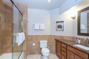 a bathroom with a toilet and a shower and a sink at Ballard North in Telluride