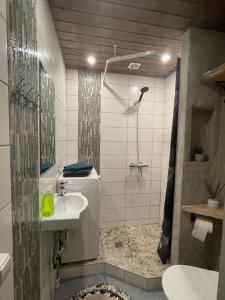 a bathroom with a shower and a sink at Renthouse Guest Apartment ADEELE in Paide