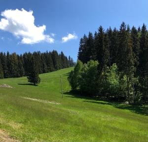 Foto dalla galleria di BLICK a Lądek-Zdrój