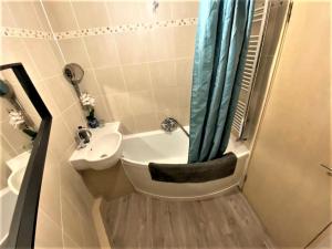 ein kleines Bad mit einem Waschbecken und einem Duschvorhang in der Unterkunft Beautiful Apartment With Terrace Near Kentish Town in London