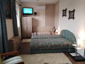 a living room with a couch and a television at Szederszem Apartman in Balatonszemes