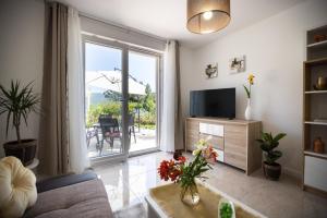 TV a/nebo společenská místnost v ubytování Apartmani Lelu