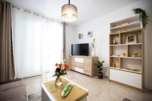 TV a/nebo společenská místnost v ubytování Apartmani Lelu