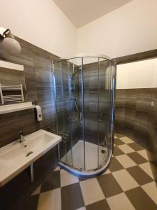 a bathroom with a glass shower and a sink at KostelApartmány in Liberec
