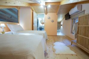 Posteľ alebo postele v izbe v ubytovaní Pnoes Villas Vasiliki Lefkada