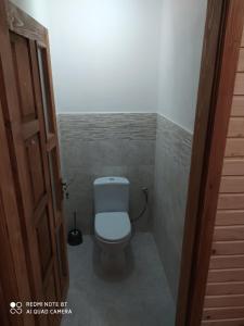 a bathroom with a white toilet in a room at Panorama in Kvasy