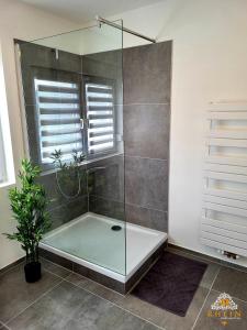 a shower with a glass enclosure in a bathroom at Top Modernes Rhein Apartment Vallendar mit Balkon in Vallendar