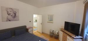 Televízia a/alebo spoločenská miestnosť v ubytovaní Mely Apartment