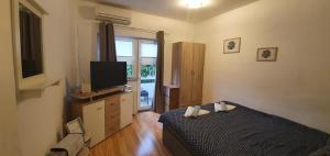 Televízia a/alebo spoločenská miestnosť v ubytovaní Mely Apartment