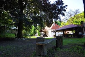 Zahrada ubytování Villa Taborec