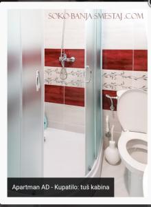 uma casa de banho com chuveiro e WC em Apartman AD em Sokobanja