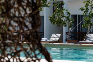 斯島的住宿－Sanyama Holbox，前方的游泳池,带椅子和树木