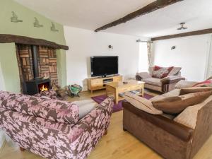 a living room with two couches and a fireplace at Cyffdy Cottage - Tegid in Bala