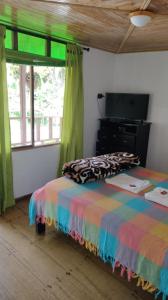 a bedroom with a bed and a tv and windows at Hotel Selva Verde in Salento