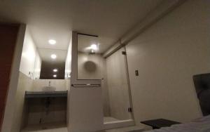 Un baño con ducha, lavabo y espejo. en Casa Murillo N826, en La Paz