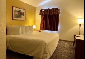 een hotelkamer met een wit bed en een raam bij Rodeway Inn Salina North in Salina +3 foto's