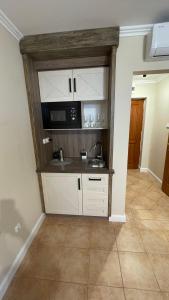 Kuchyňa alebo kuchynka v ubytovaní Dalma Apartment