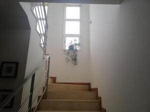 Fotografie z fotogalerie ubytování RoyalHeronHouse v destinaci Viana do Castelo