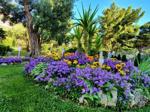 a garden with purple and purple flowers in a yard at Guest House Antonia in Baška Voda