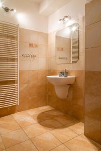 een badkamer met een wastafel, een spiegel en een douche bij Apartmány Snežienka in Nový Smokovec