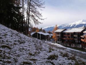 冬のAppartement La Plagne, 3 pièces, 6 personnes - FR-1-329-47の様子