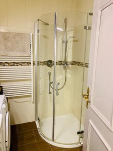 a shower with a glass door in a bathroom at Appartement Daniel 2 Kaprun-SUMMER CARD INCLUDED in Kaprun +12 photos