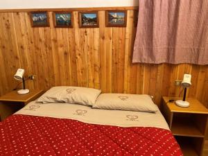 Bett in einem Zimmer mit Holzwänden und Fenstern in der Unterkunft Appartamento Tapì in Passo del Tonale