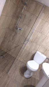 uma casa de banho com um WC e uma cabina de duche em vidro. em Holiday Ozon em Sztutowo