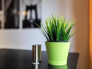 a green plant in a green pot on a table at NYC gare in Clermont-Ferrand