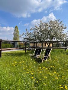 two chairs in a field of grass with a tree at Apart Hüsske 2 in Krefeld