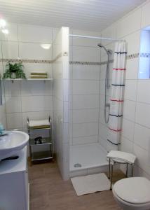 a bathroom with a shower and a toilet and a sink at Ferienwohnung Klemm, Burgen /Untermosel in Burgen