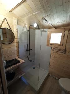 uma casa de banho com um chuveiro, um lavatório e um espelho. em Gîtes entre mer et campagne, 3km de Berck les chalets du Fliers em Berck