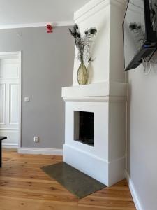 a living room with a fireplace and a tv at Börsen Annex in Visby