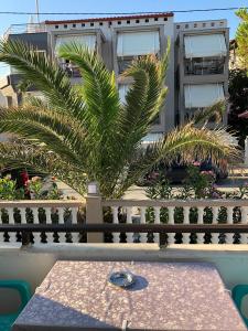 a table with a palm tree in front of a building at Villa Lemar in Sarti