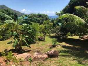 a garden with rocks and palm trees and mountains at Mirella Villa in Anse Possession