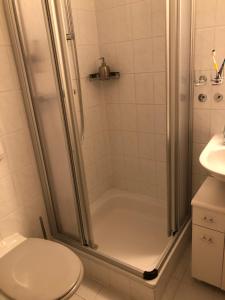 a bathroom with a shower with a toilet and a sink at Top-Appartement direkt an der Kampenwandbahn in Aschau im Chiemgau