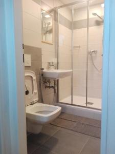 a bathroom with a toilet and a sink and a shower at Penzion La Baita in Branná