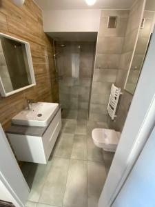 Kúpeľňa v ubytovaní Apartamenty Krynica No.1