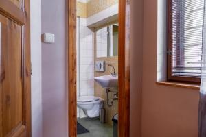 a small bathroom with a toilet and a sink at Apartmány V Mlýnské strouze in Pilsen