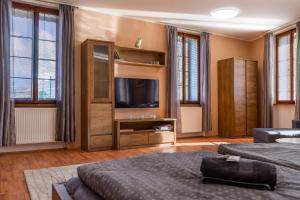 TV a/nebo společenská místnost v ubytování Apartmány V Mlýnské strouze